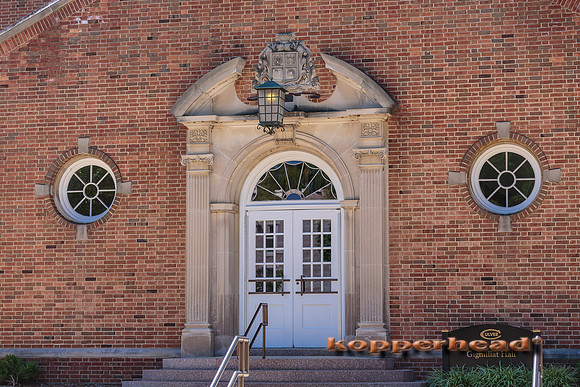 39422 07 2015 Kopperhead