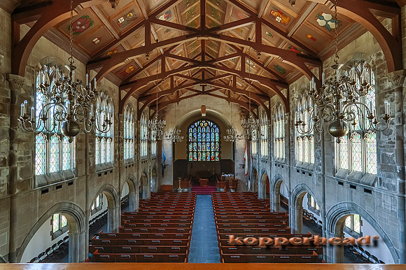 39288h 07 2015 Kopperhead