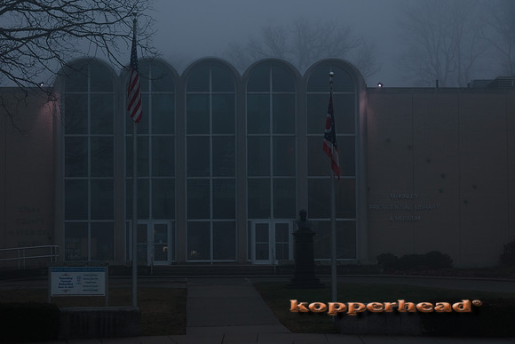 08856 01 2023 Kopperhead