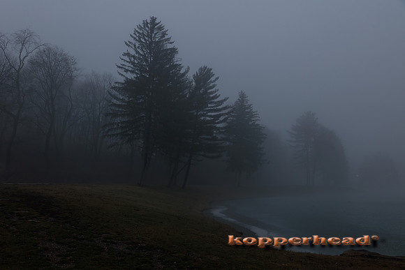 08840 01 2023 Kopperhead