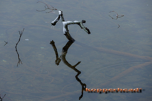 55009 01 2023 Kopperhead