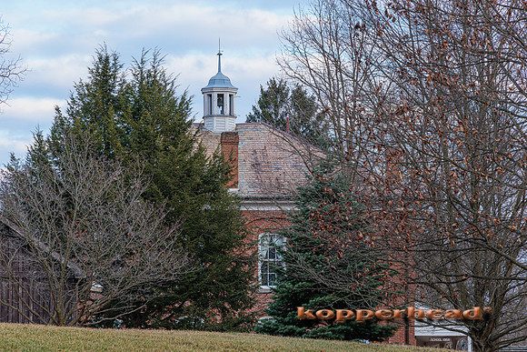 54114 01 2023 Kopperhead