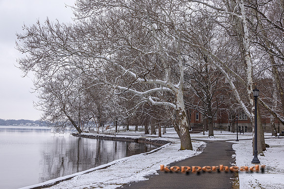 55006 01 2023 Kopperhead