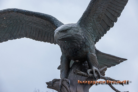 55012 01 2023 Kopperhead