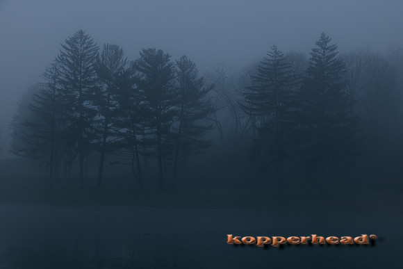 08867 01 2023 Kopperhead