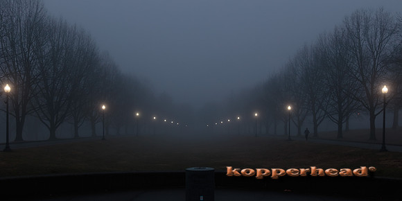 08854 01 2023 Kopperhead