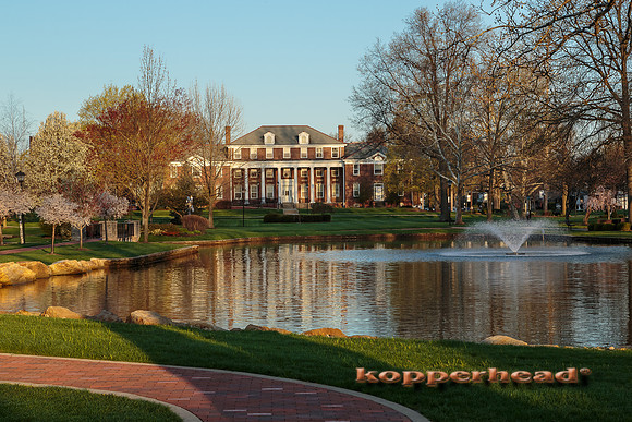 01096 04 2013 Kopperhead