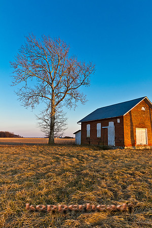 40890 02 2012 Kopperhead
