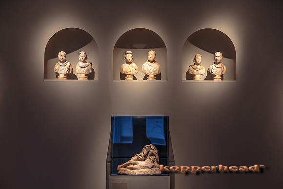 47888 02 2016 Kopperhead