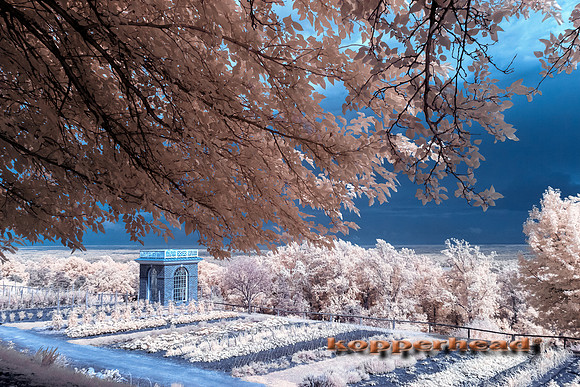 69840ir 07 2016 Kopperhead