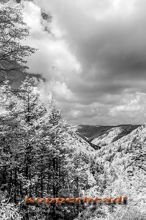 69686ir 07 2016 Kopperhead