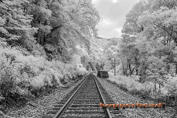 69877ir 07 2016 Kopperhead
