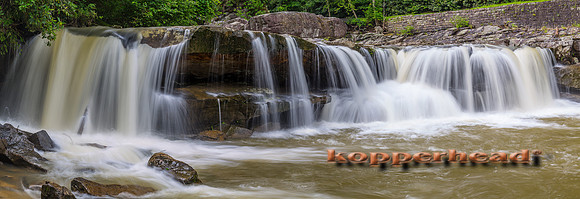 59922p 07 2016 Kopperhead