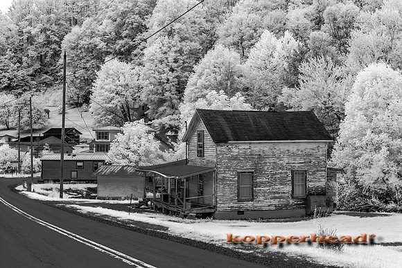 69924ir 07 2016 Kopperhead