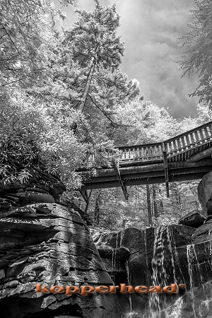 69737ir 07 2016 Kopperhead