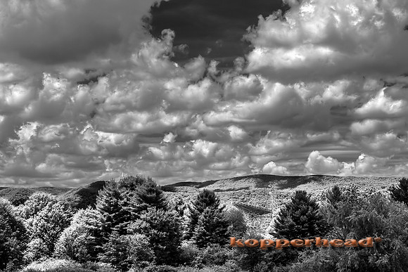 69771ir 07 2016 Kopperhead