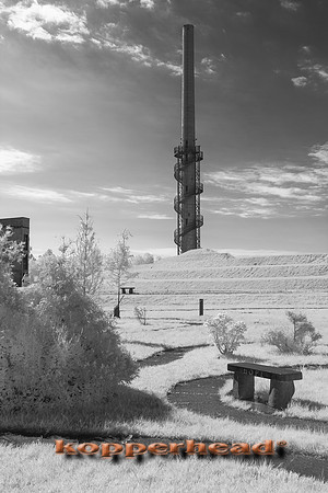 70393ir 08 2020 Kopperhead