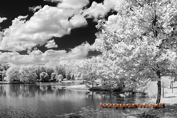 70404ir 08 2020 Kopperhead