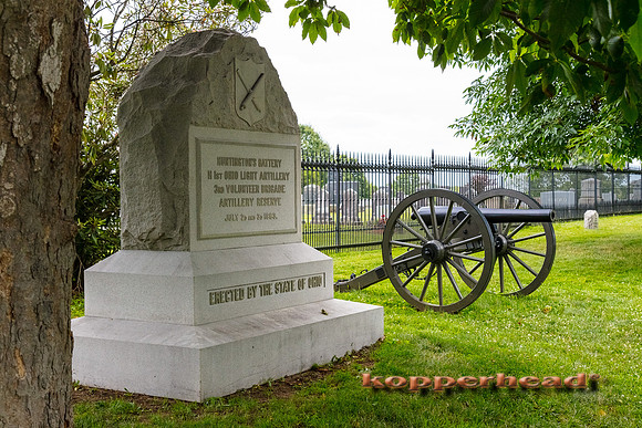 39301 06 2019 Kopperhead