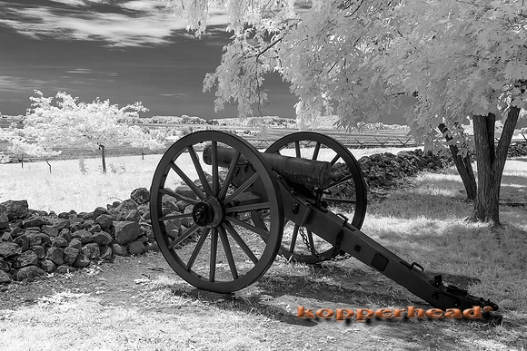 70263ir 06 2019 Kopperhead