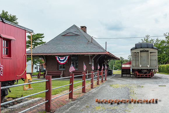 39310 06 2019 Kopperhead