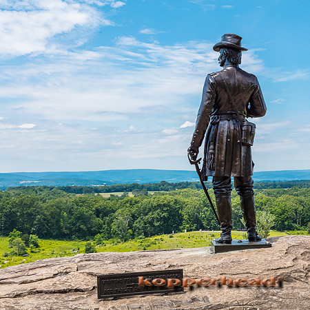 39259 06 2019 Kopperhead