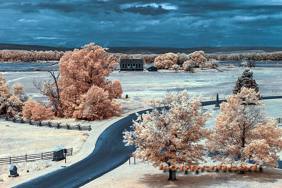 70272ir 06 2019 Kopperhead