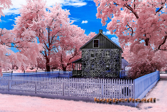 70271ir 06 2019 Kopperhead