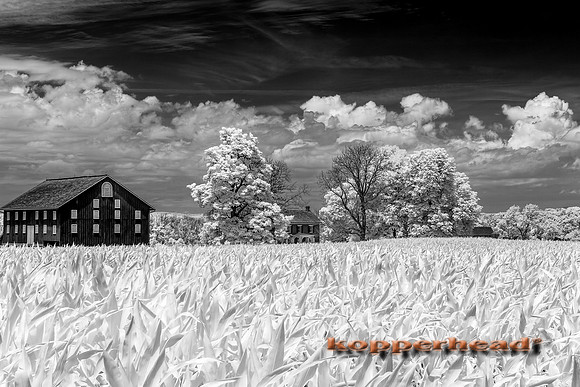 70269ir 06 2019 Kopperhead