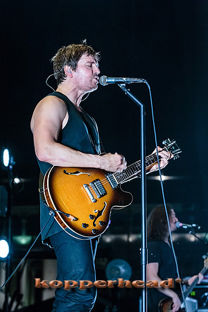 33809 05 2015 Kopperhead