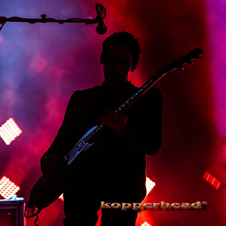 33639 05 2015 Kopperhead