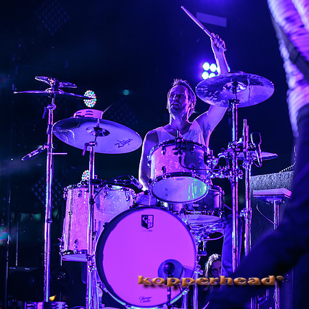 33153 05 2015 Kopperhead