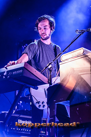 33174 05 2015 Kopperhead