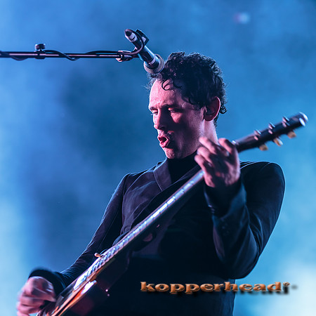 33989 05 2015 Kopperhead