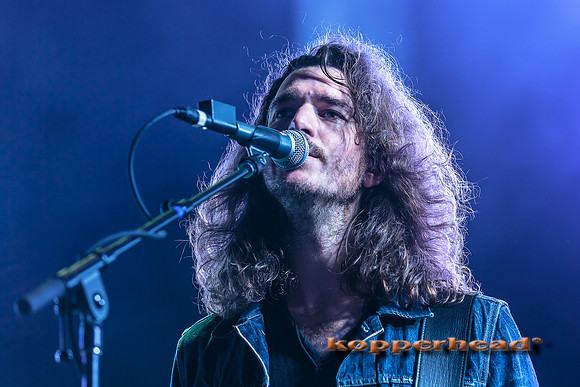 33405 05 2015 Kopperhead