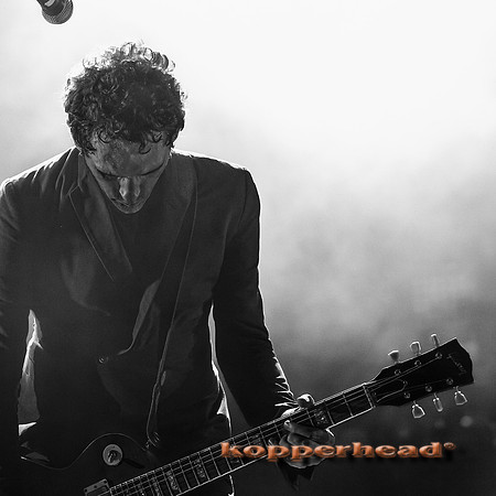33961 05 2015 Kopperhead