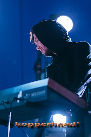 32984 05 2015 Kopperhead