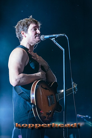 33898 05 2015 Kopperhead