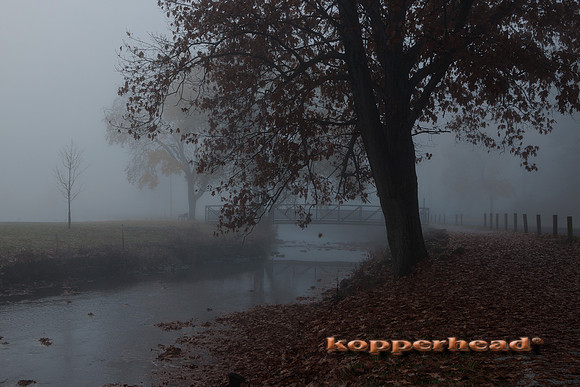 51834 11 2022 Kopperhead