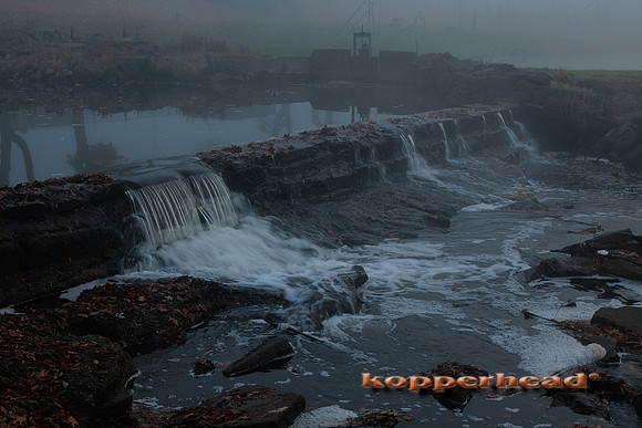 51828 11 2022 Kopperhead