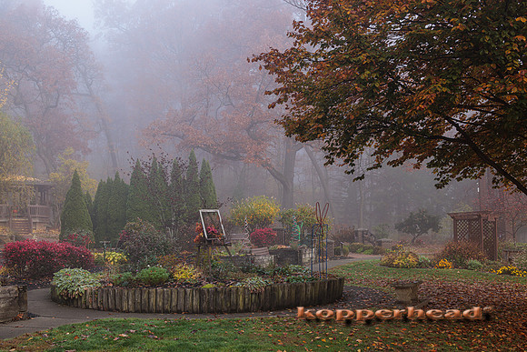51932 11 2022 Kopperhead