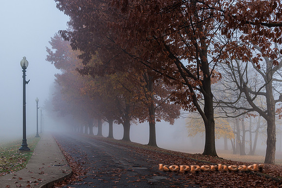 51887 11 2022 Kopperhead