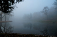 Early November Fog