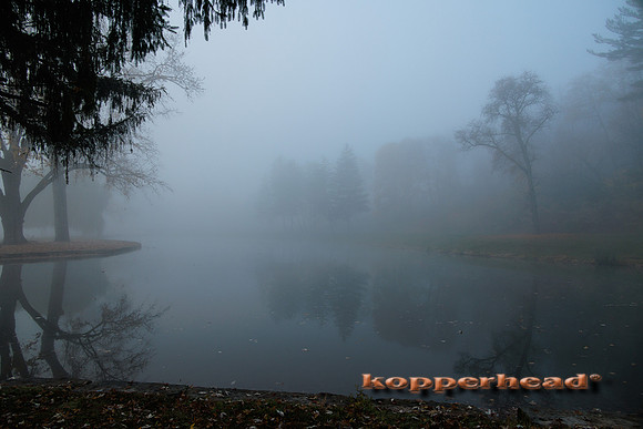 51852 11 2022 Kopperhead