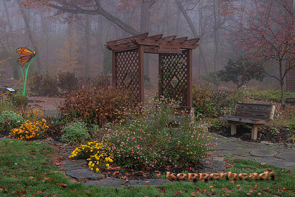 51915 11 2022 Kopperhead