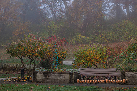 51913 11 2022 Kopperhead