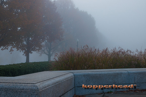 51893 11 2022 Kopperhead