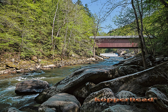 32352h 05 2015 Kopperhead