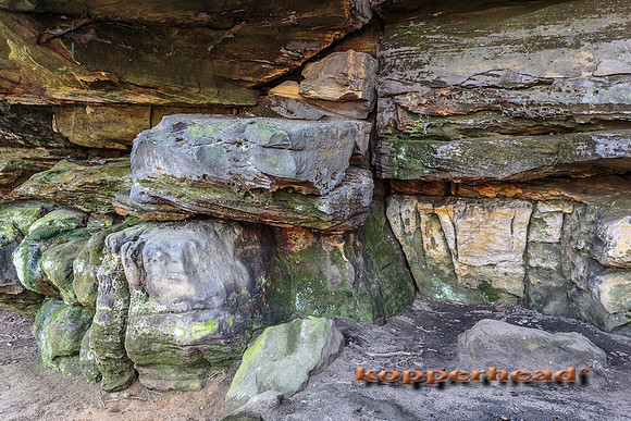 31149 04 2015 Kopperhead
