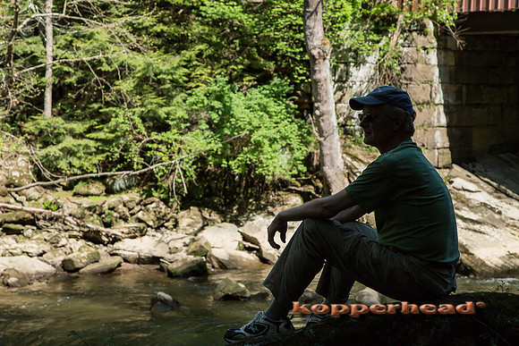 32337 05 2015 Kopperhead